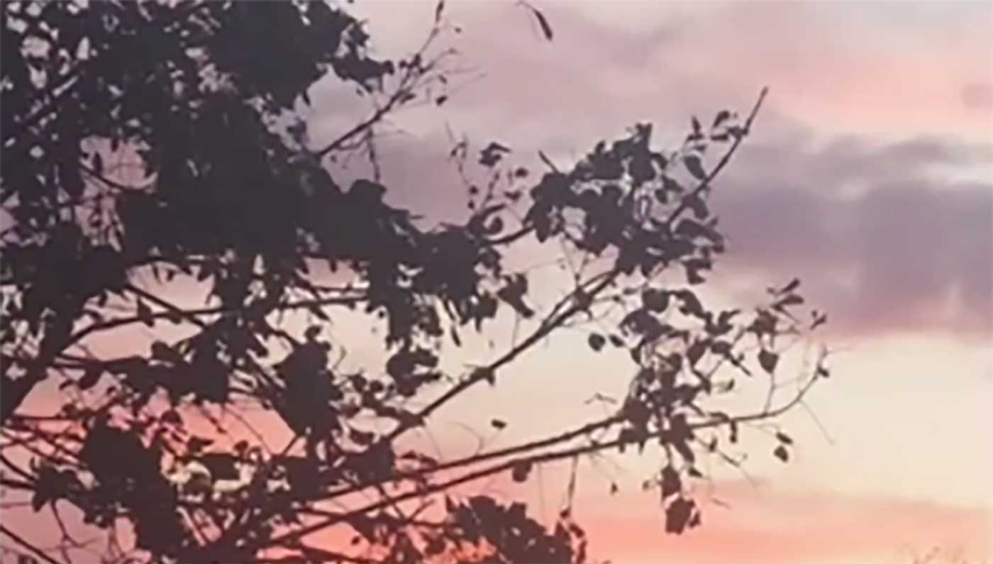Video thumb